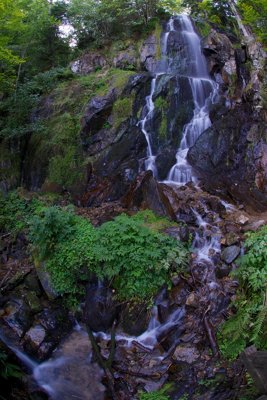 JPR_7695 (1)_7943401826_l.jpg